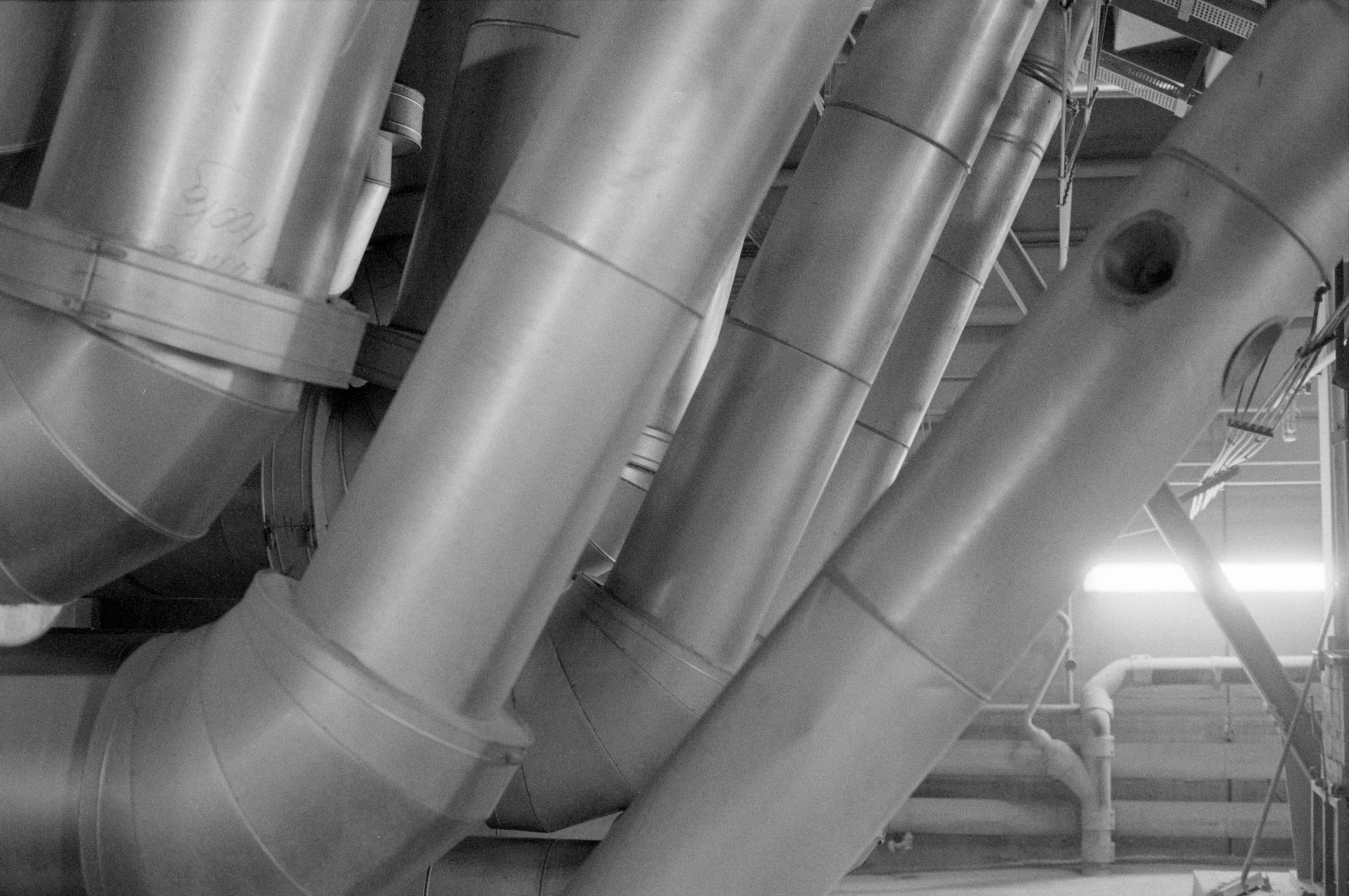 AHP F1994 11 004 sc250521 img21 NLP